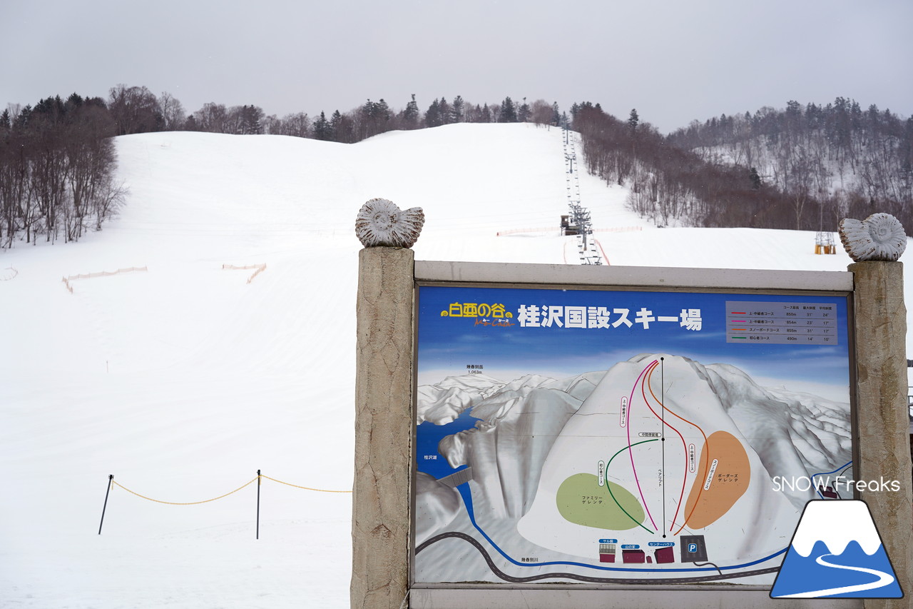 五十嵐威暢アート塾・スライドトークショー『レンズから見える地域の魅力』 講師は、写真家・渡辺洋一さん。全100枚に及ぶ写真から想う、日本の自然の素晴らしさ。